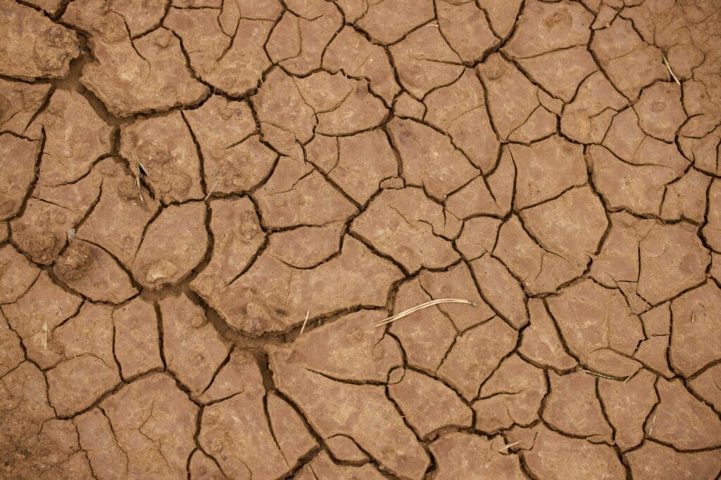 Dry, cracked earth with irregular patterns indicating drought or lack of water—conditions that may require expert consulting in emergency disaster response for mitigation and recovery. The surface appears parched and arid.